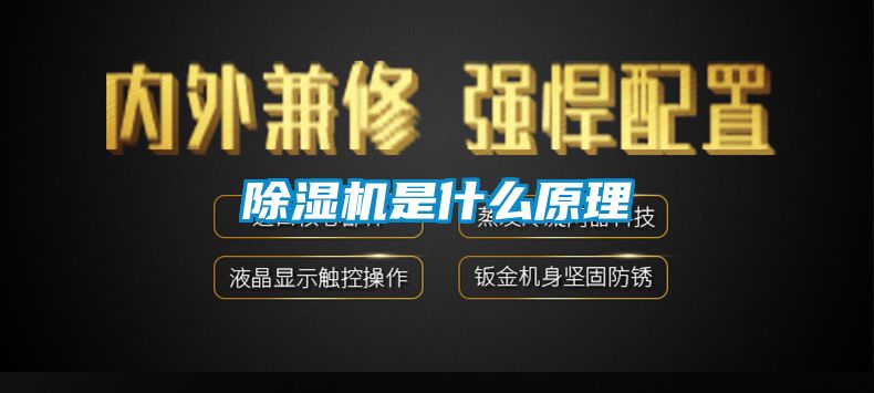 好色先生污污版是什么原理