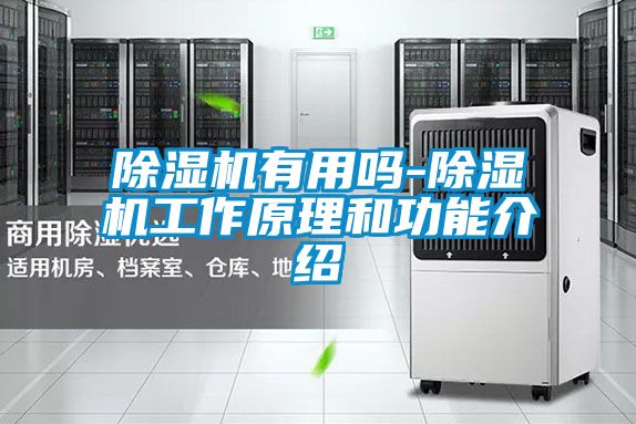 好色先生污污版有用吗-好色先生污污版工作原理和功能介绍