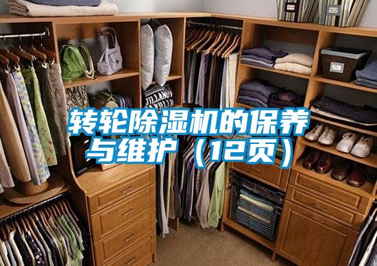 转轮好色先生污污版的保养与维护（12页）