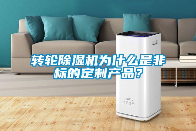 转轮好色先生污污版为什么是非标的定制产品？