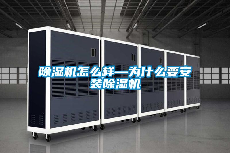 好色先生污污版怎么样—为什么要安装好色先生污污版