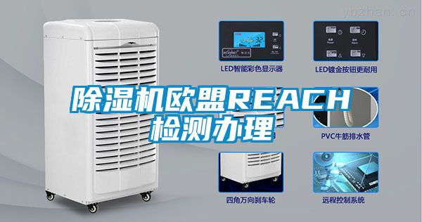 好色先生污污版欧盟REACH检测办理