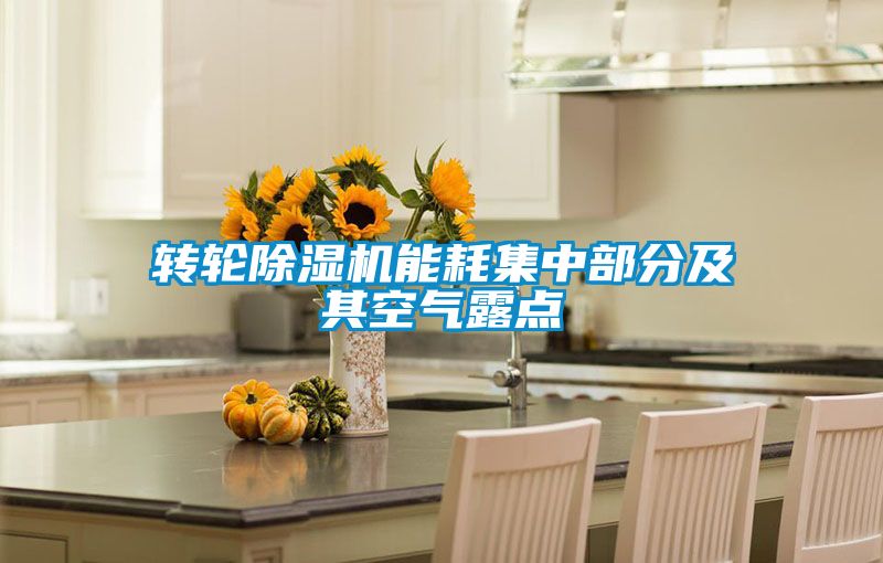 转轮好色先生污污版能耗集中部分及其空气露点