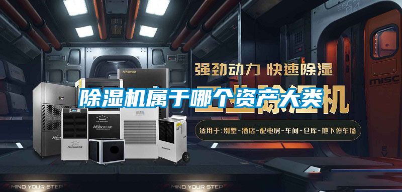 好色先生污污版属于哪个资产大类