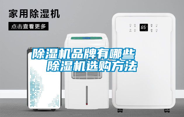 好色先生污污版品牌有哪些  好色先生污污版选购方法