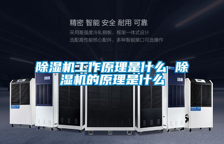 好色先生污污版工作原理是什么 好色先生污污版的原理是什么