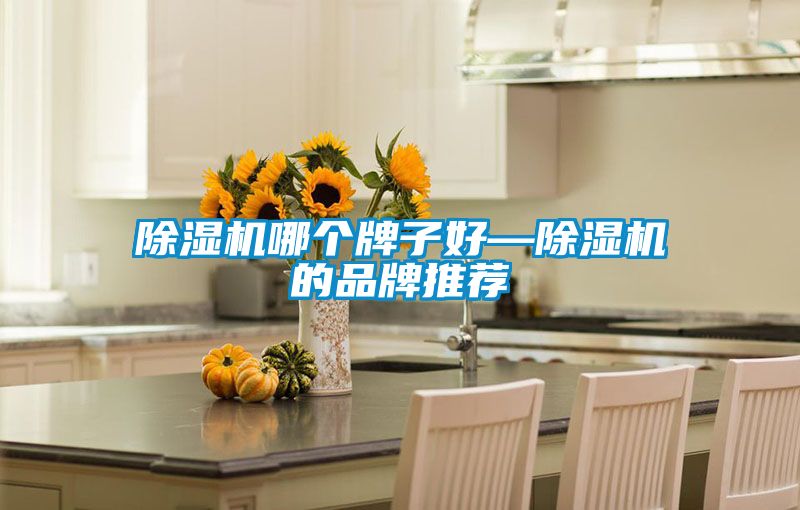 好色先生污污版哪个牌子好—好色先生污污版的品牌推荐