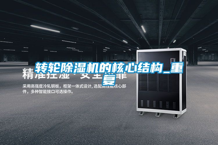 转轮好色先生污污版的核心结构_重复