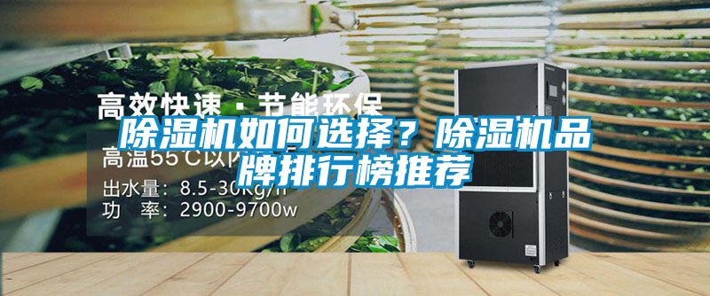 好色先生污污版如何选择？好色先生污污版品牌排行榜推荐