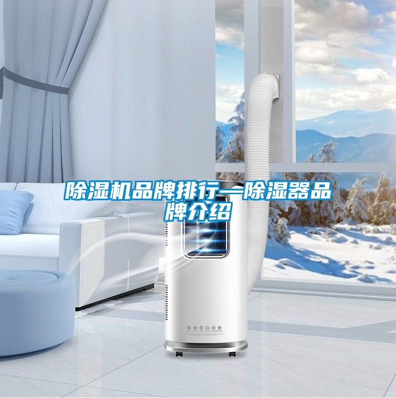 好色先生污污版品牌排行—除湿器品牌介绍