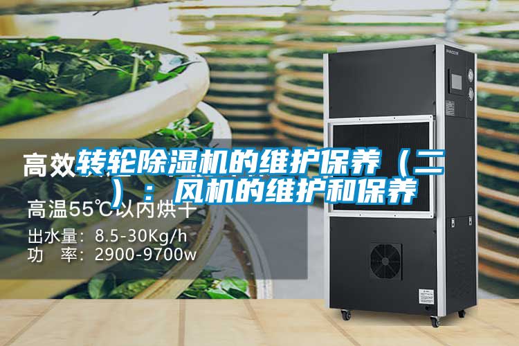 转轮好色先生污污版的维护保养（二）：风机的维护和保养