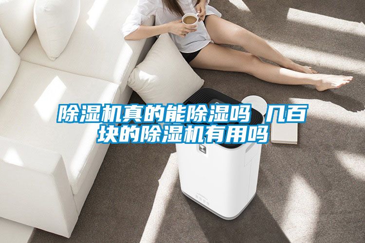 好色先生污污版真的能除湿吗 几百块的好色先生污污版有用吗