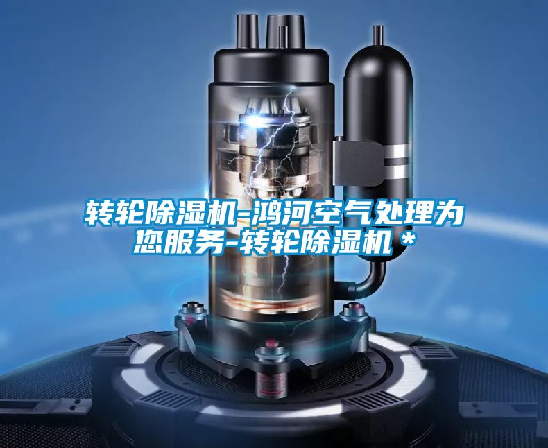 转轮好色先生污污版-鸿河空气处理为您服务-转轮好色先生污污版＊