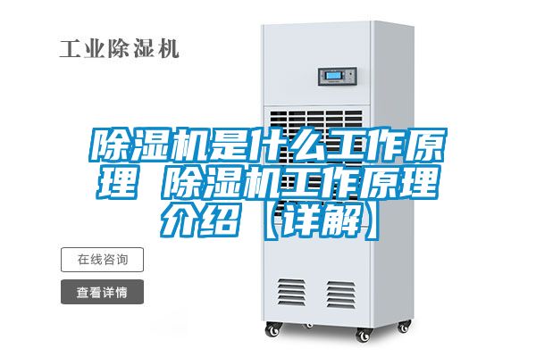 好色先生污污版是什么工作原理 好色先生污污版工作原理介绍【详解】