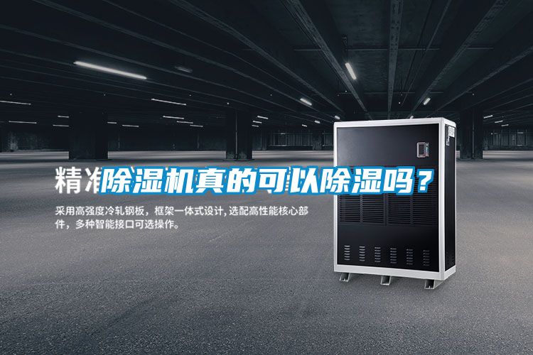 好色先生污污版真的可以除湿吗？