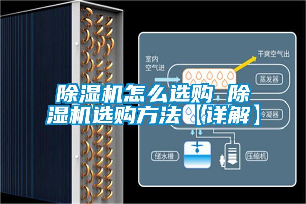 好色先生污污版怎么选购 好色先生污污版选购方法【详解】