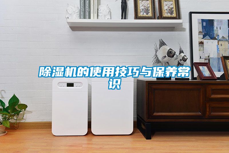 好色先生污污版的使用技巧与保养常识