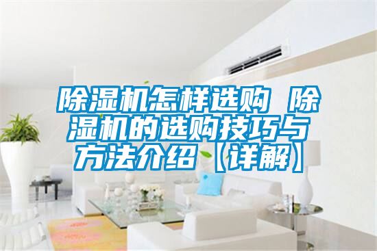 好色先生污污版怎样选购 好色先生污污版的选购技巧与方法介绍【详解】