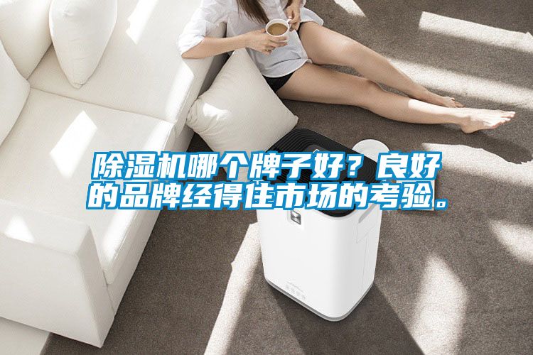 好色先生污污版哪个牌子好？良好的品牌经得住市场的考验。