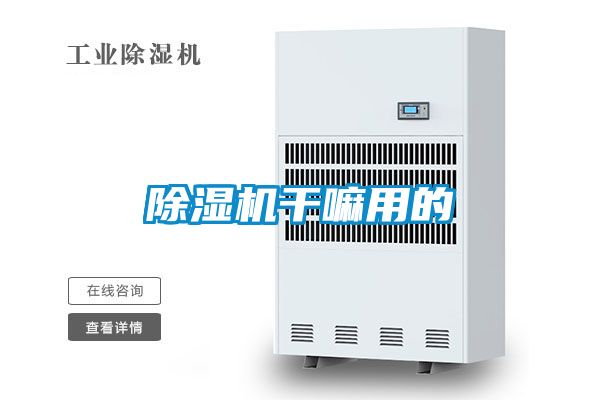 好色先生污污版干嘛用的