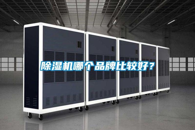 好色先生污污版哪个品牌比较好？