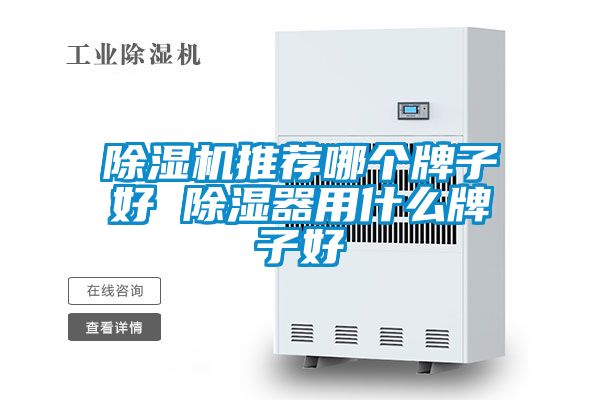 好色先生污污版推荐哪个牌子好 除湿器用什么牌子好