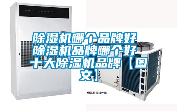 好色先生污污版哪个品牌好 好色先生污污版品牌哪个好 十大好色先生污污版品牌【图文】