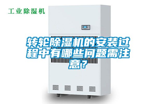 转轮好色先生污污版的安装过程中有哪些问题需注意？