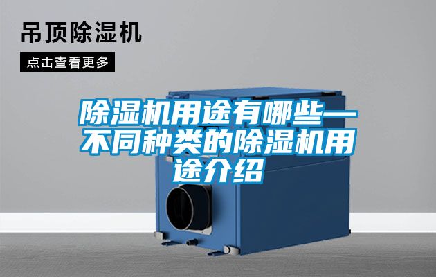 好色先生污污版用途有哪些—不同种类的好色先生污污版用途介绍