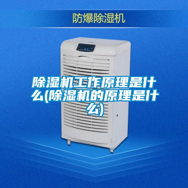 好色先生污污版工作原理是什么(好色先生污污版的原理是什么)