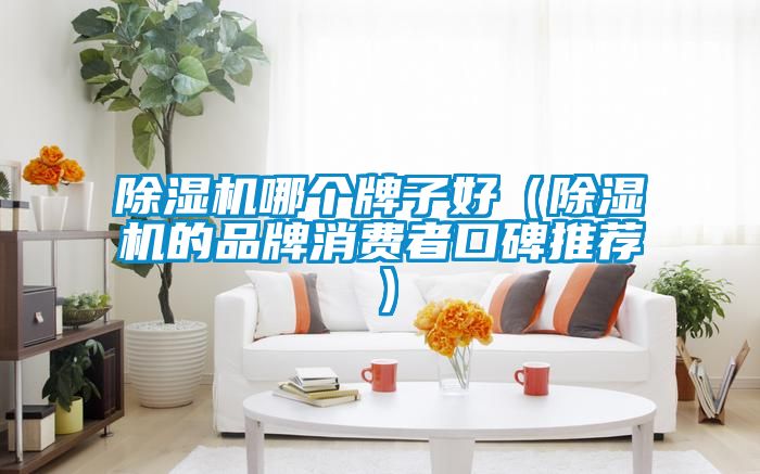 好色先生污污版哪个牌子好（好色先生污污版的品牌消费者口碑推荐）