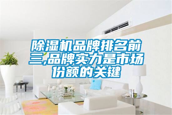 好色先生污污版品牌排名前三,品牌实力是市场份额的关键