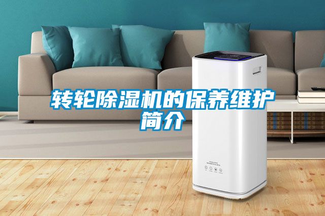 转轮好色先生污污版的保养维护简介