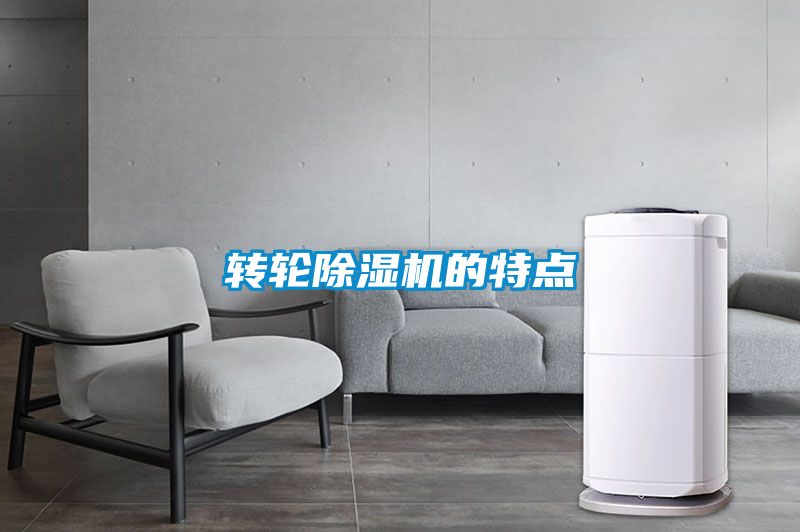 转轮好色先生污污版的特点