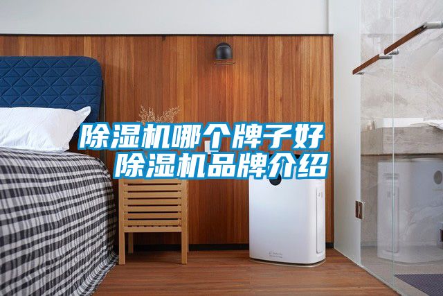 好色先生污污版哪个牌子好  好色先生污污版品牌介绍