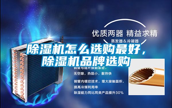 好色先生污污版怎么选购最好，好色先生污污版品牌选购