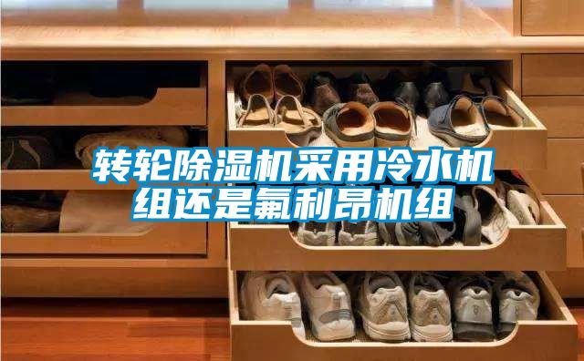 转轮好色先生污污版采用冷水机组还是氟利昂机组