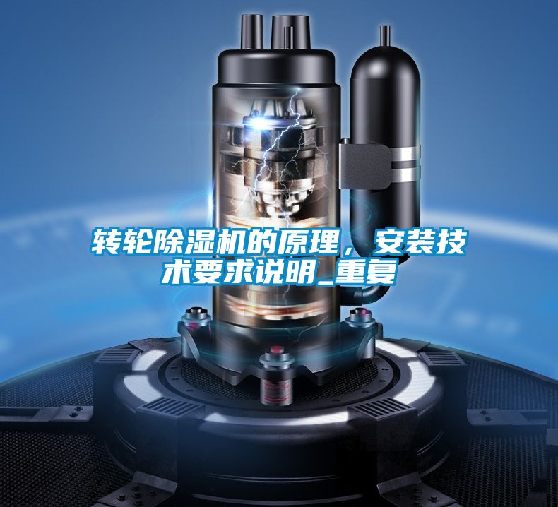 转轮好色先生污污版的原理，安装技术要求说明_重复