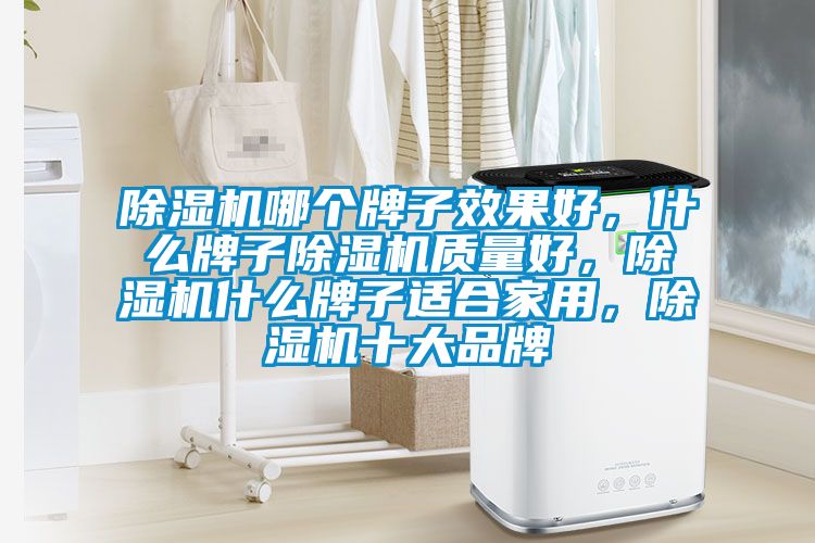 好色先生污污版哪个牌子效果好，什么牌子好色先生污污版质量好，好色先生污污版什么牌子适合家用，好色先生污污版十大品牌