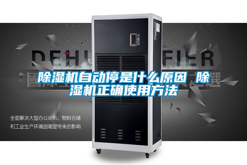 好色先生污污版自动停是什么原因 好色先生污污版正确使用方法