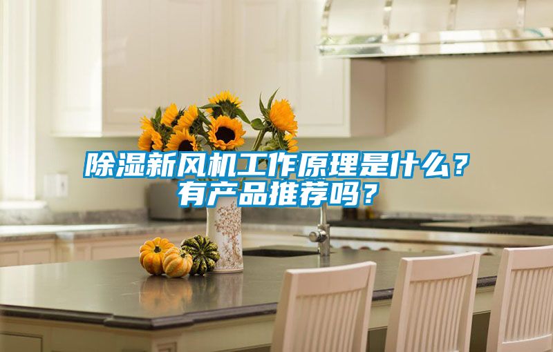 除湿新风机工作原理是什么？有产品推荐吗？