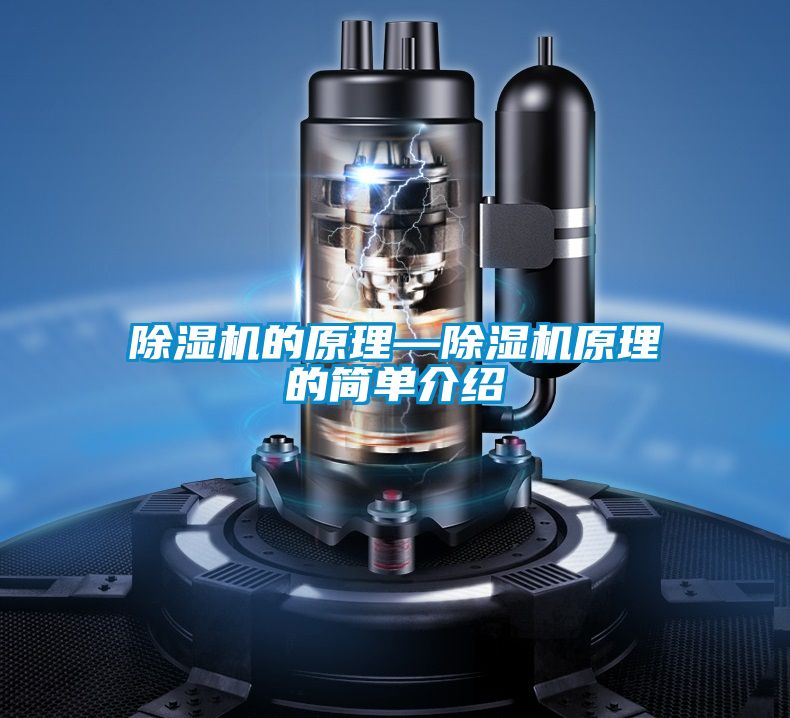 好色先生污污版的原理—好色先生污污版原理的简单介绍