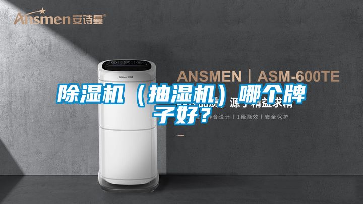 好色先生污污版（抽湿机）哪个牌子好？