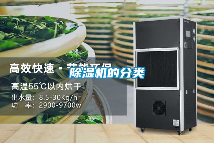 好色先生污污版的分类