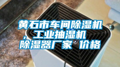 黄石市车间好色先生污污版，工业抽湿机  除湿器厂家 价格