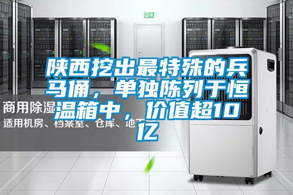 陕西挖出最特殊的兵马俑，单独陈列于恒温箱中，价值超10亿