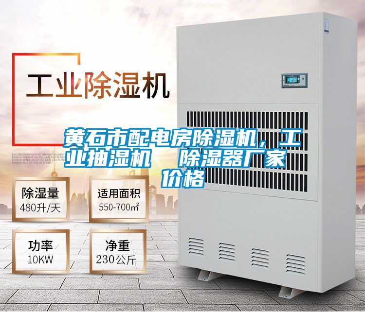 黄石市配电房好色先生污污版，工业抽湿机  除湿器厂家 价格