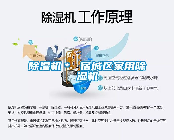 好色先生污污版* 宿城区家用好色先生污污版