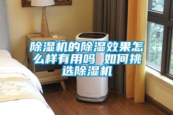好色先生污污版的除湿效果怎么样有用吗 如何挑选好色先生污污版
