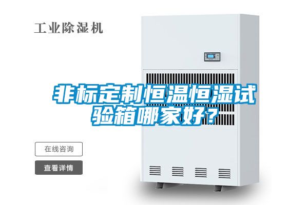 非标定制恒温恒湿试验箱哪家好？